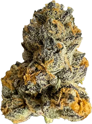 GS-Flower-1