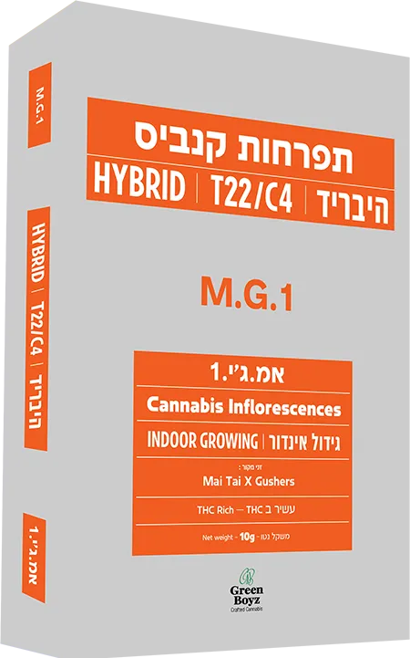 אמ.ג׳י.1 (M.G.1)